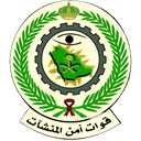 أمن المنشآت